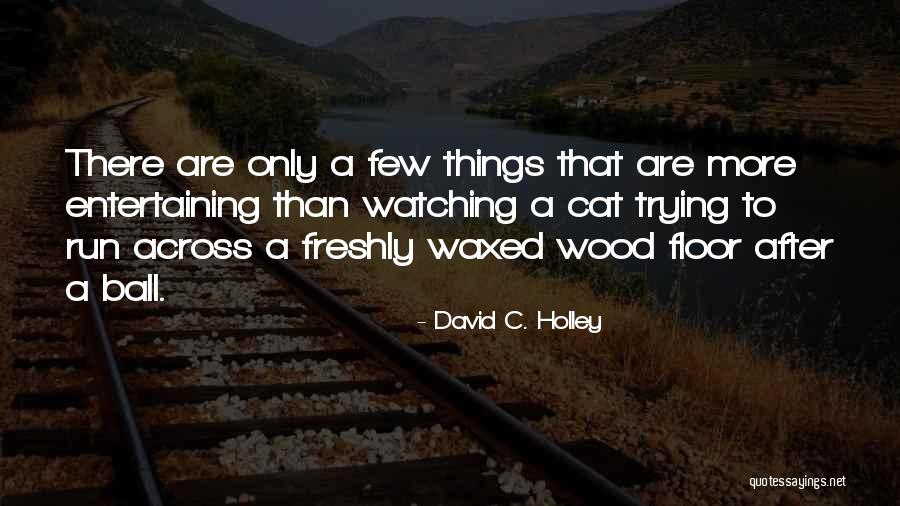String Theorists Quotes By David C. Holley String Theorists Quotes By David C. Holley