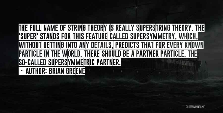 String Theory Quotes By Brian Greene