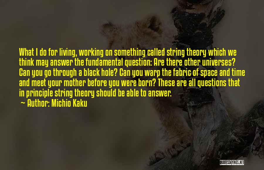 String Theory Quotes By Michio Kaku