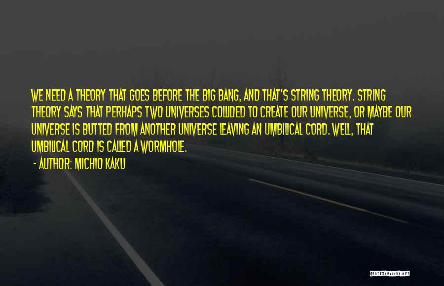 String Theory Quotes By Michio Kaku