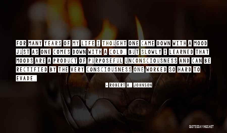 Stringere Maksud Quotes By Robert A. Johnson Stringere Maksud Quotes By Robert A. Johnson