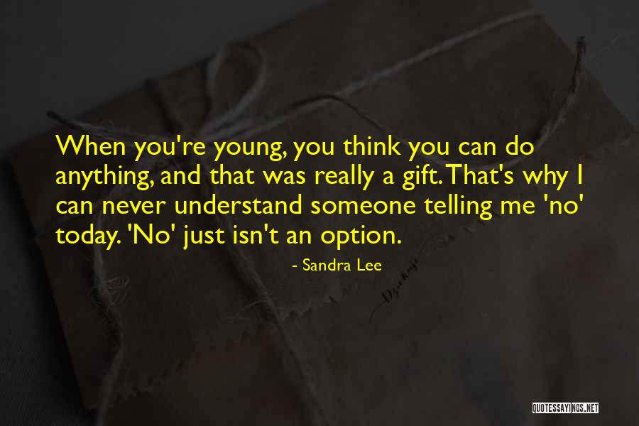 Stringhetti Quotes By Sandra Lee Stringhetti Quotes By Sandra Lee