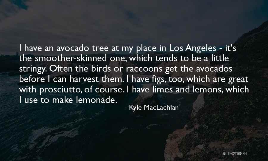 Stringy Quotes By Kyle MacLachlan Stringy Quotes By Kyle MacLachlan