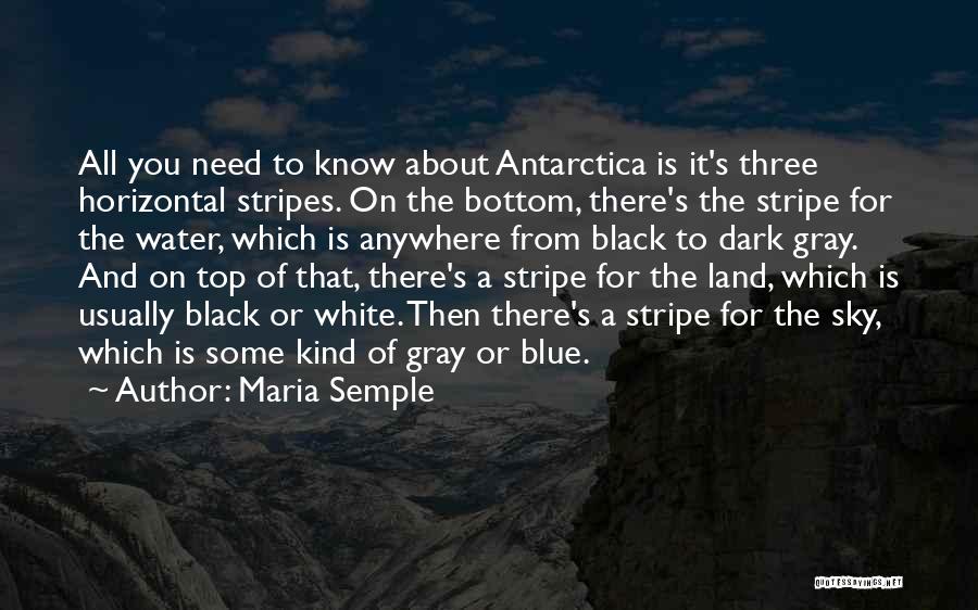 Stripe Quotes By Maria Semple