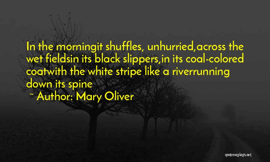 Stripe Quotes By Mary Oliver