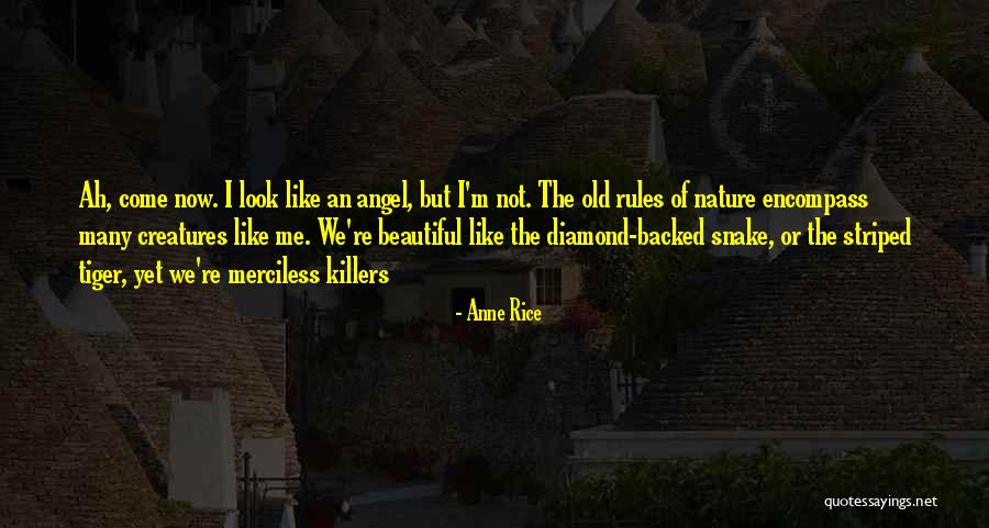 Striped Quotes By Anne Rice Striped Quotes By Anne Rice