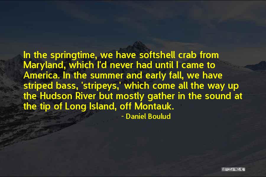 Striped Quotes By Daniel Boulud Striped Quotes By Daniel Boulud