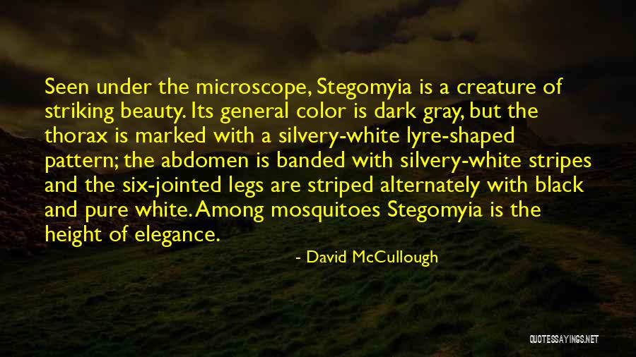 Striped Quotes By David McCullough Striped Quotes By David McCullough