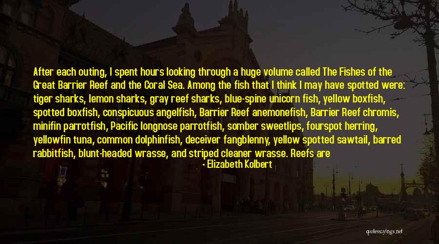 Striped Quotes By Elizabeth Kolbert Striped Quotes By Elizabeth Kolbert