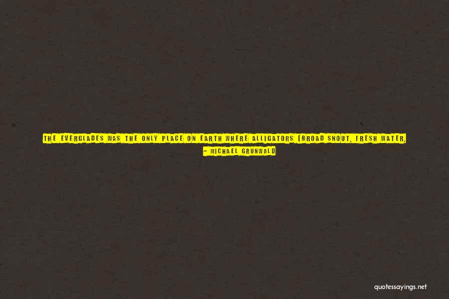 Striped Quotes By Michael Grunwald Striped Quotes By Michael Grunwald