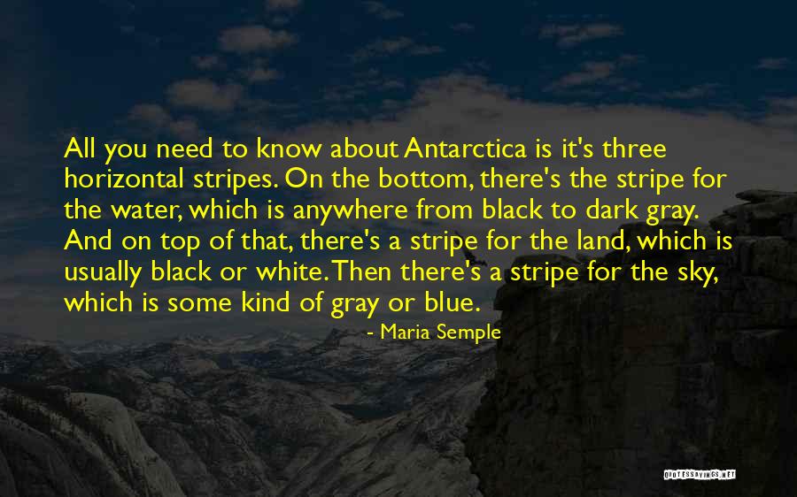 Stripes Quotes By Maria Semple Stripes Quotes By Maria Semple