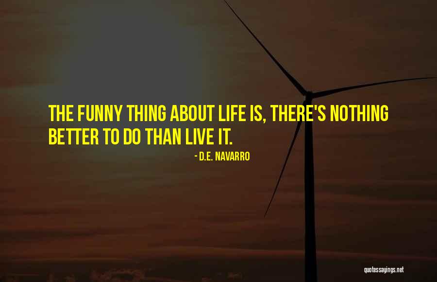 Strive For A Better Life Quotes By D.E. Navarro