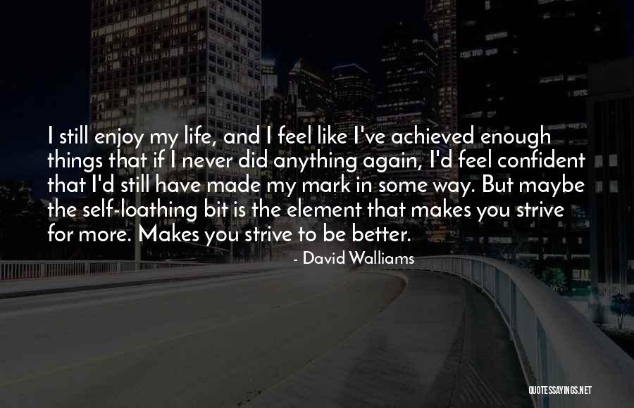 Strive For A Better Life Quotes By David Walliams