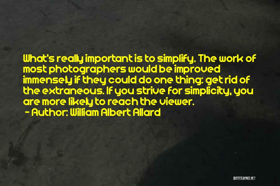 Strive For More Quotes By William Albert Allard