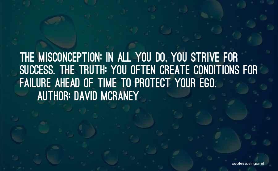 Strive For Success Quotes By David McRaney