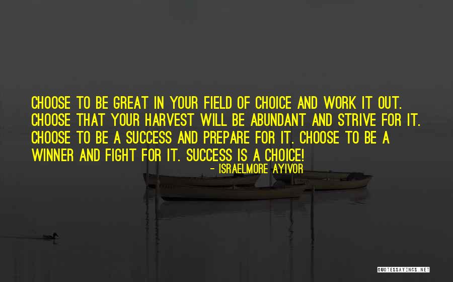 Strive For Success Quotes By Israelmore Ayivor