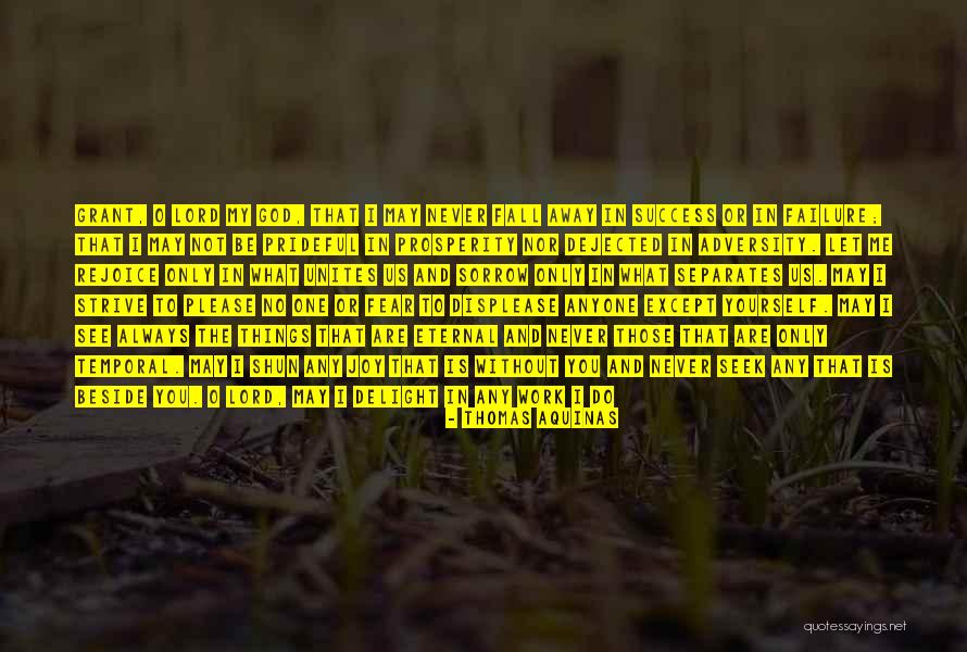 Strive For Success Quotes By Thomas Aquinas Strive For Success Quotes By Thomas Aquinas