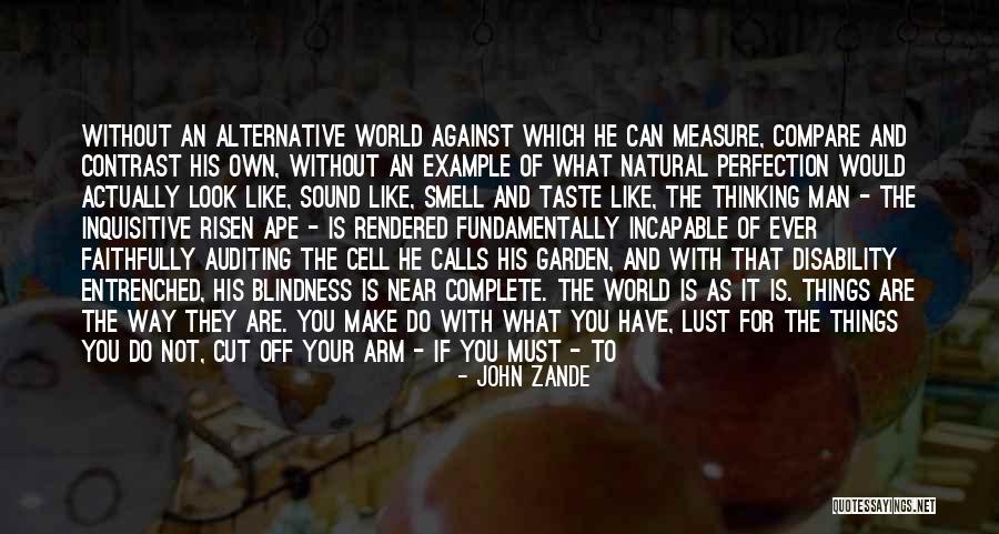 Strive For What You Want Quotes By John Zande