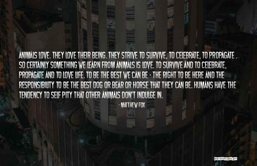 Strive To Learn Quotes By Matthew Fox Strive To Learn Quotes By Matthew Fox