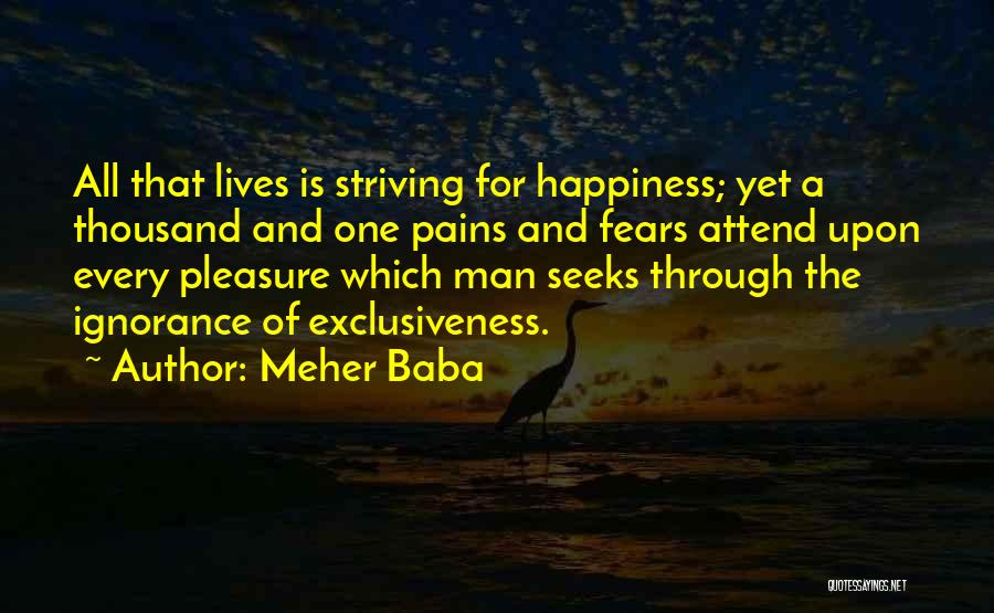 Striving For Happiness Quotes By Meher Baba