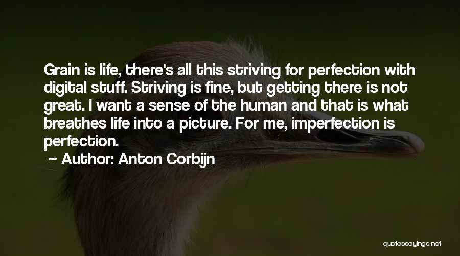 Striving For Perfection Quotes By Anton Corbijn