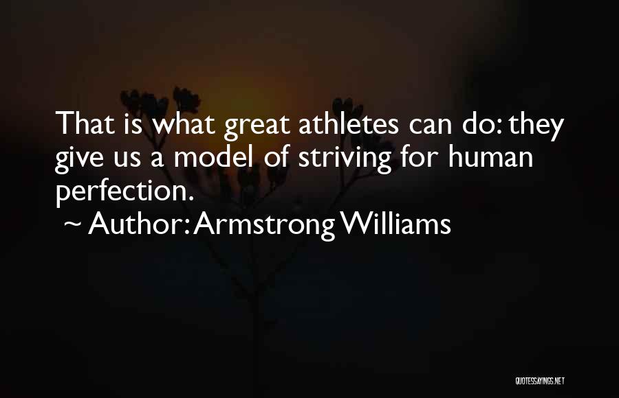 Striving For Perfection Quotes By Armstrong Williams