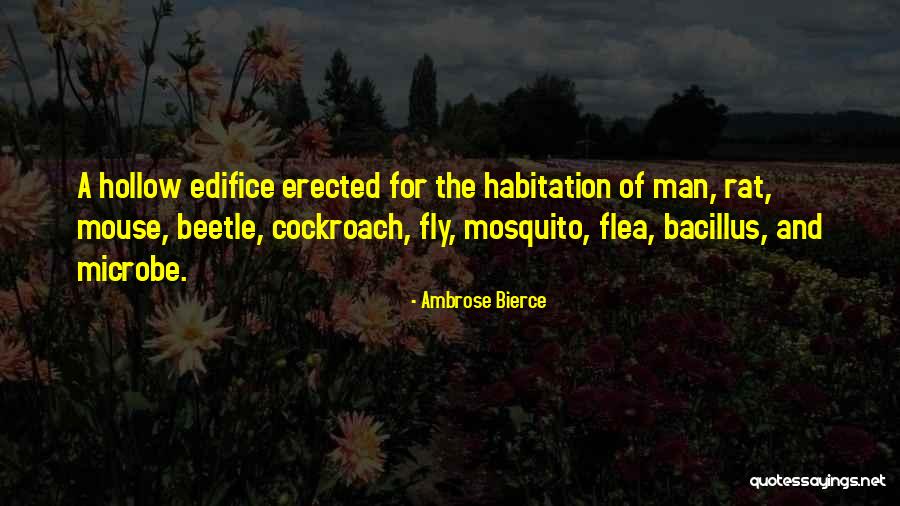 Stroehmanns Quotes By Ambrose Bierce Stroehmanns Quotes By Ambrose Bierce