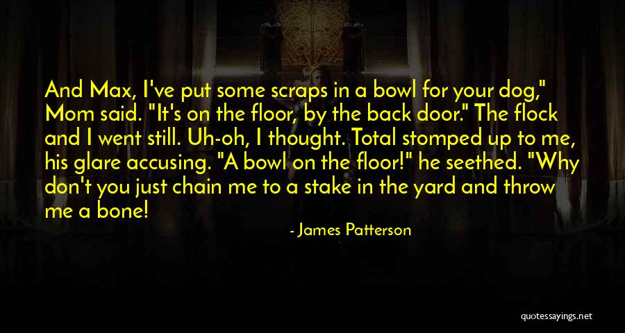 Strohecker Insurance Quotes By James Patterson Strohecker Insurance Quotes By James Patterson