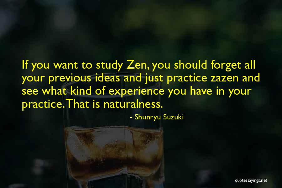 Strojenie Fortepian W Quotes By Shunryu Suzuki Strojenie Fortepian W Quotes By Shunryu Suzuki