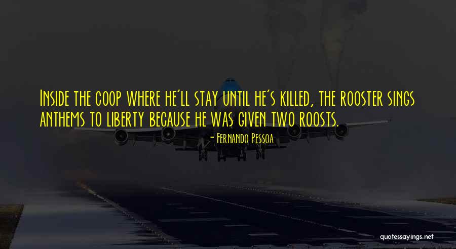 Strojny Strojny Quotes By Fernando Pessoa Strojny Strojny Quotes By Fernando Pessoa
