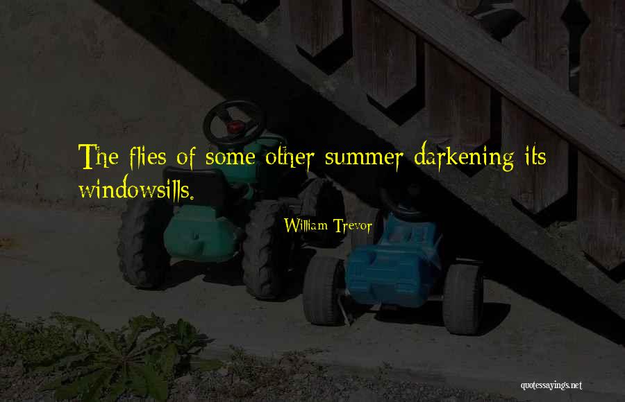 Stroke Of Mercy Quotes By William Trevor Stroke Of Mercy Quotes By William Trevor