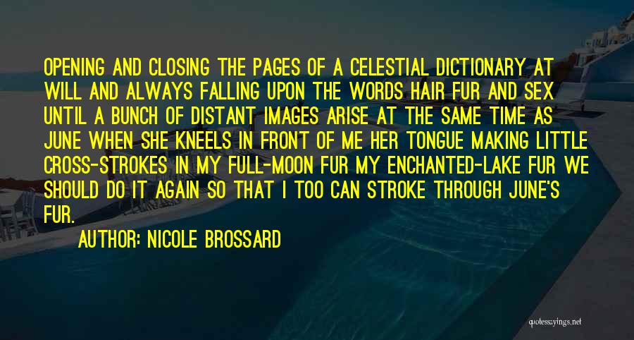 Strokes Quotes By Nicole Brossard