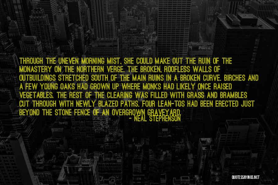 Strominger Plumbing Quotes By Neal Stephenson Strominger Plumbing Quotes By Neal Stephenson