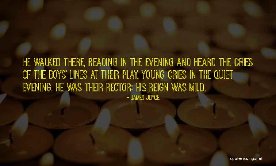 Strommen Fc Quotes By James Joyce Strommen Fc Quotes By James Joyce