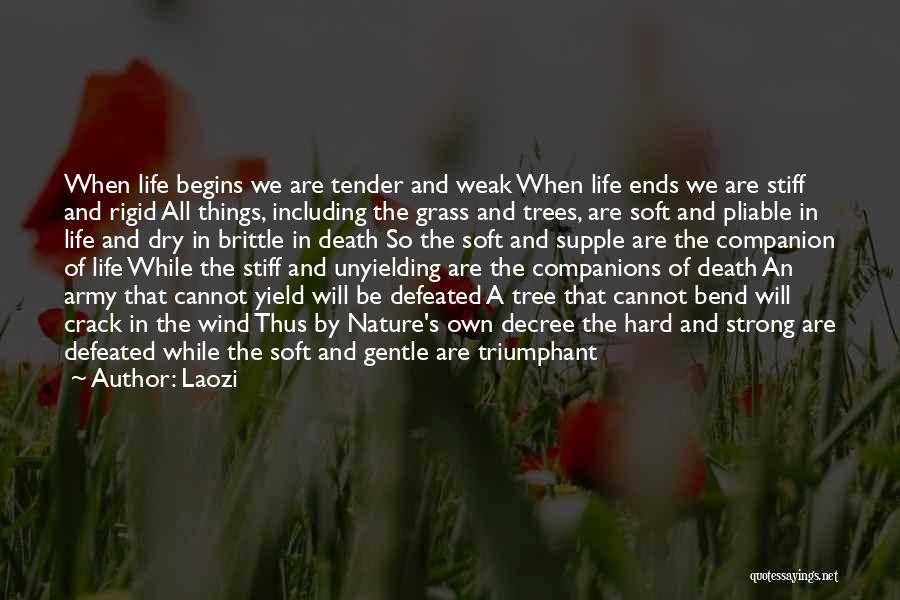 Strong And Gentle Quotes By Laozi