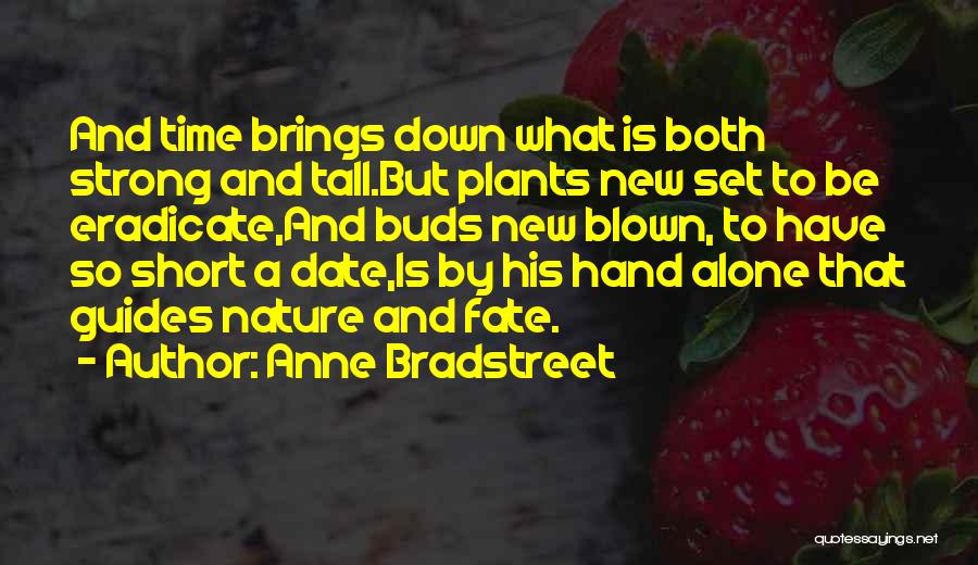 Strong And Short Quotes By Anne Bradstreet