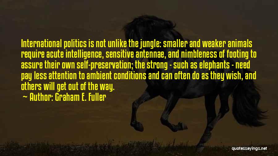 Strong But Sensitive Quotes By Graham E. Fuller