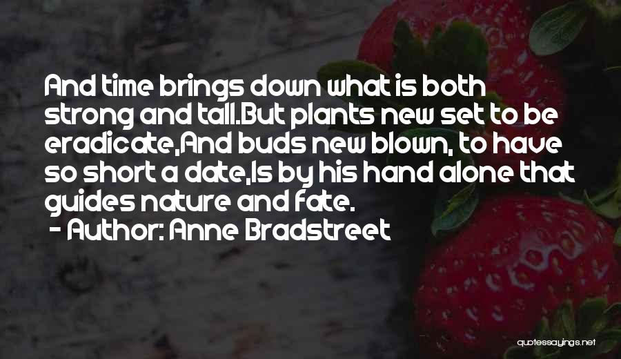 Strong But Short Quotes By Anne Bradstreet