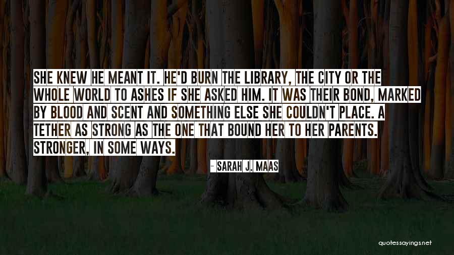 Strong City Quotes By Sarah J. Maas Strong City Quotes By Sarah J. Maas