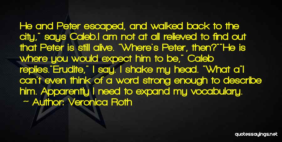 Strong City Quotes By Veronica Roth