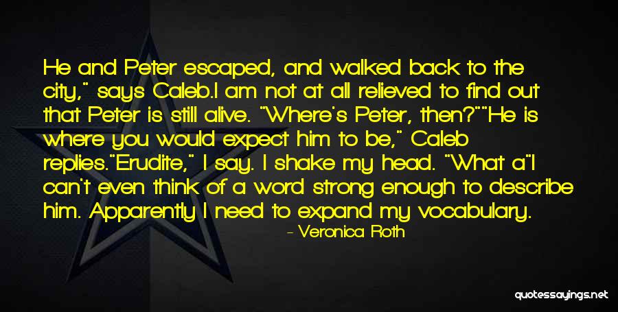 Strong City Quotes By Veronica Roth