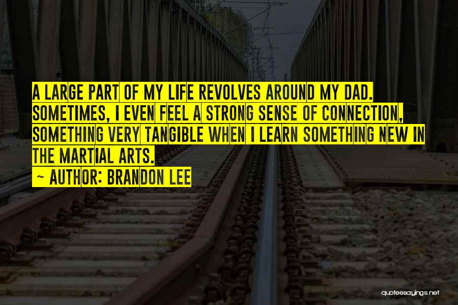 Strong Connection With Someone Quotes By Brandon Lee