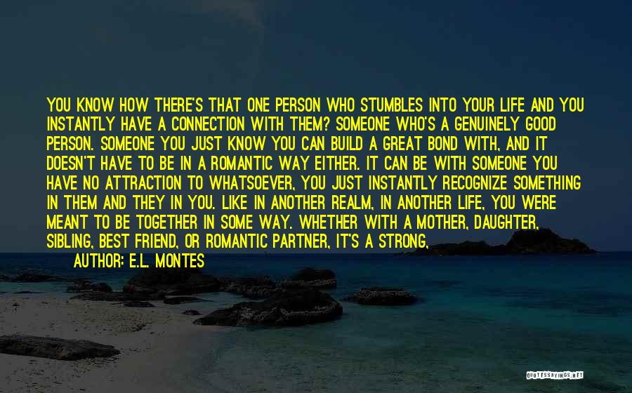 Strong Connection With Someone Quotes By E.L. Montes