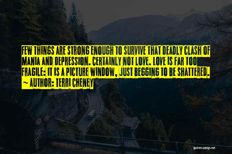 Strong Enough To Survive Quotes By Terri Cheney