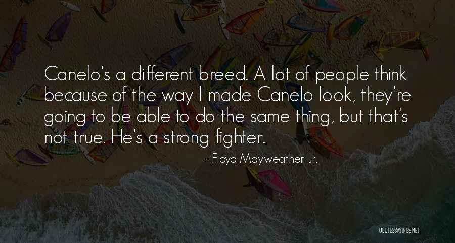 Strong Fighter Quotes By Floyd Mayweather Jr. Strong Fighter Quotes By Floyd Mayweather Jr.