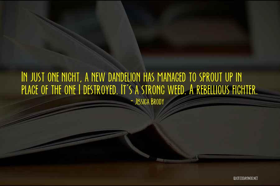 Strong Fighter Quotes By Jessica Brody Strong Fighter Quotes By Jessica Brody