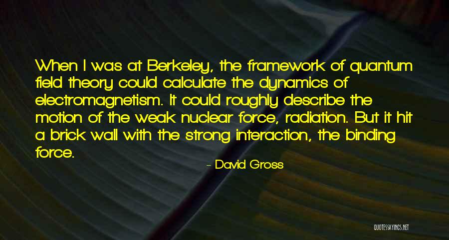 Strong Force Quotes By David Gross Strong Force Quotes By David Gross