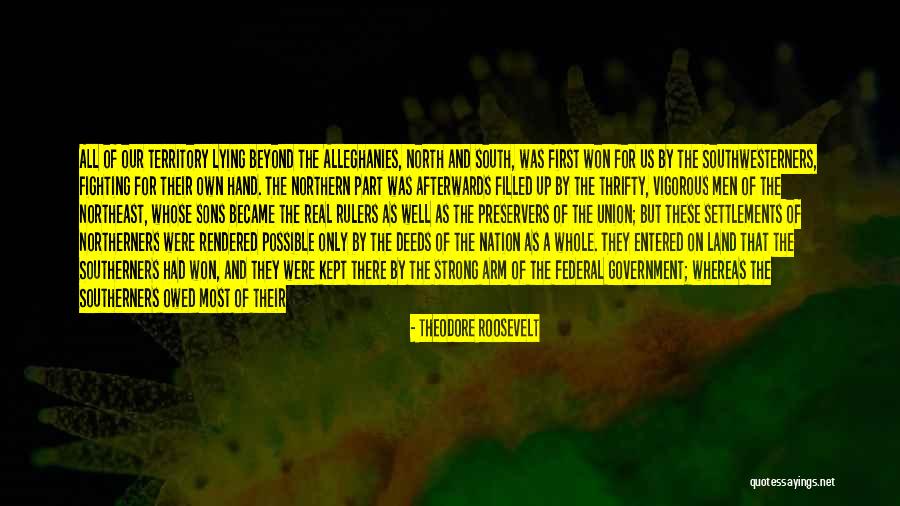 Strong Government Quotes By Theodore Roosevelt