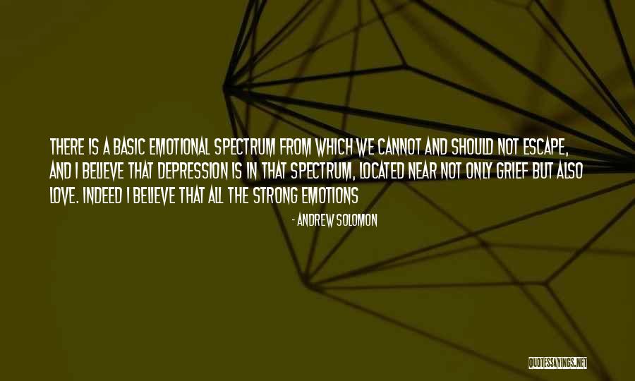 Strong Grief Quotes By Andrew Solomon Strong Grief Quotes By Andrew Solomon