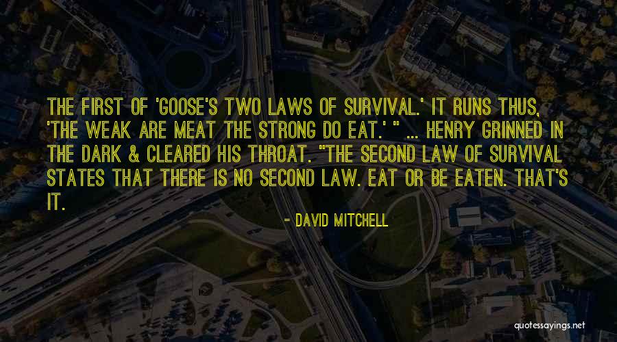 Strong Law Quotes By David Mitchell Strong Law Quotes By David Mitchell